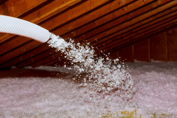 Best Garage Insulation  in Temple City, CA